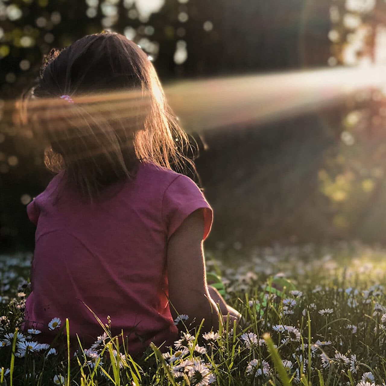 Ett barn med rosa tröja sitter i en äng av prästkragar och njuter av solnedgången