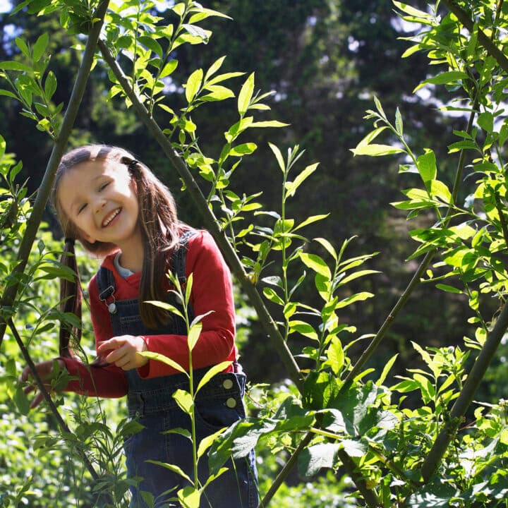 Flicka som står i en grönsaksodling